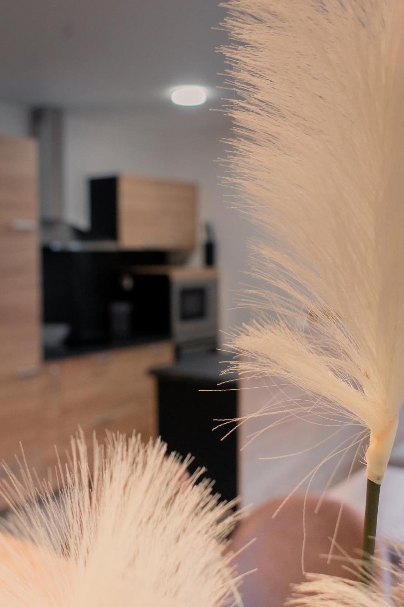 Prima Countryside Apartments Zirovnica Стая снимка