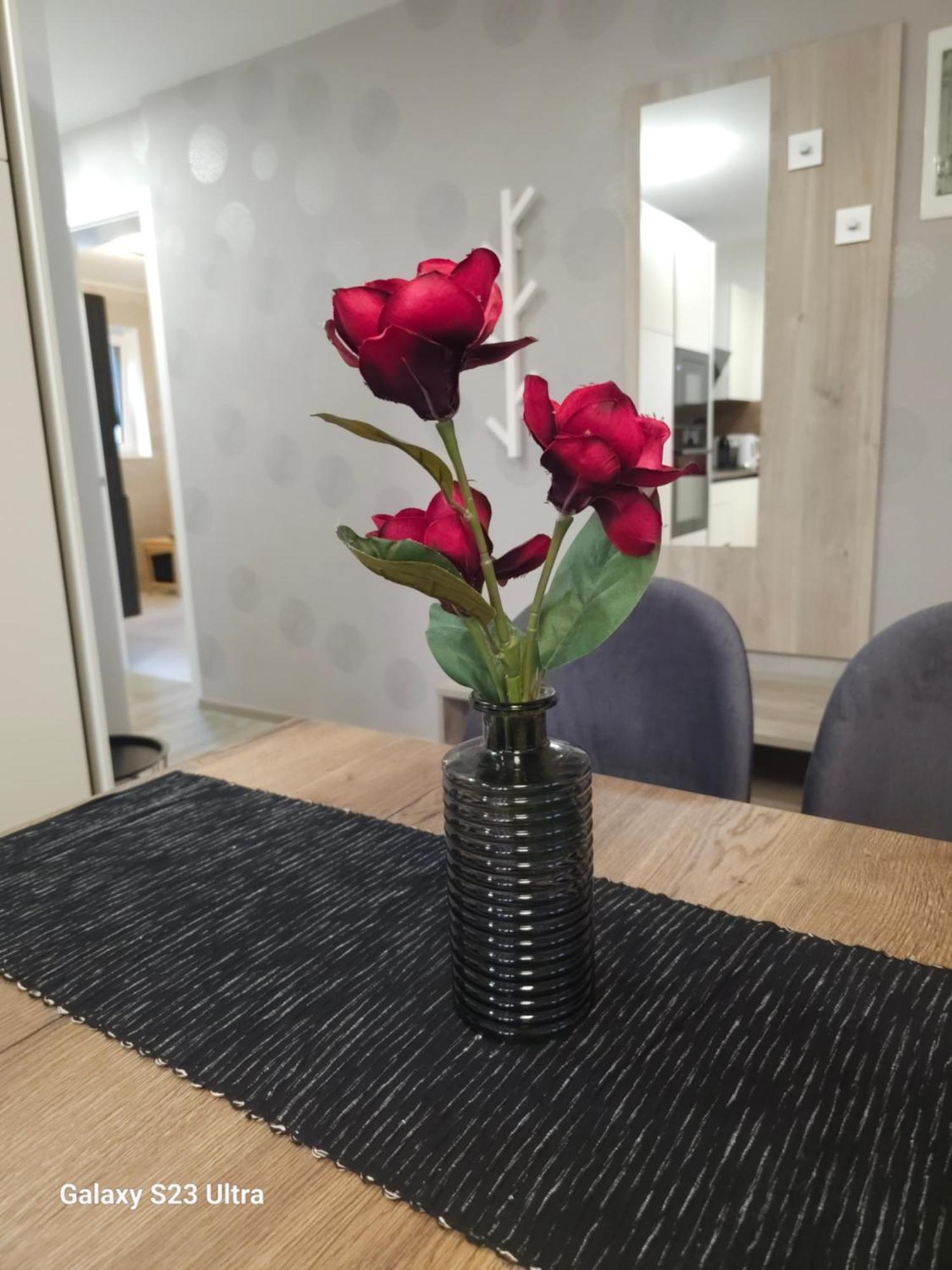 Prima Countryside Apartments Zirovnica Стая снимка